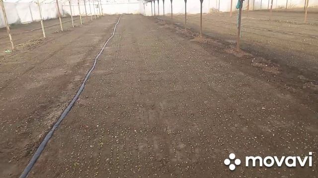 #Бизнес на@Редиске смотреть онлайн