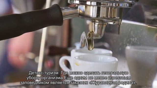 Где в Подмосковье можно сделать селфи с журавлем или зубром смотреть онлайн