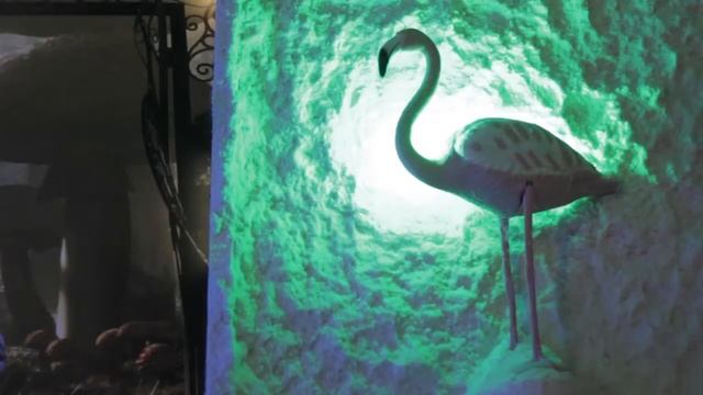 Как вылечить бронхиальную астму смотреть онлайн