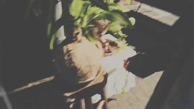 momentanée (a short film) смотреть онлайн