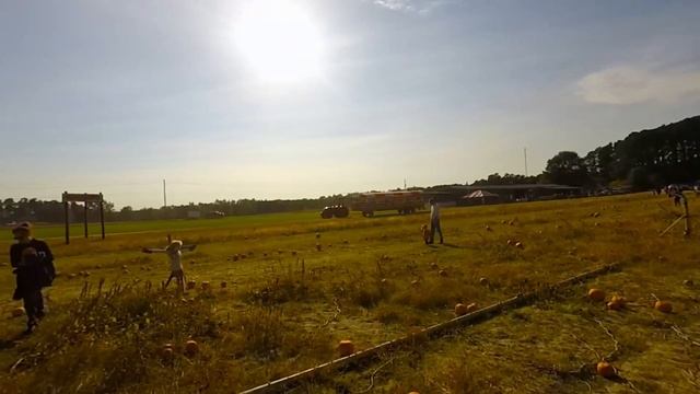 Isla Rose Pumpkin Patch 2015 смотреть онлайн