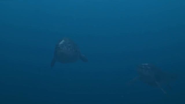 МОЗАЗАВР - САМЫЙ ОГРОМНЫЙ МОНСТР ГЛУБИН!