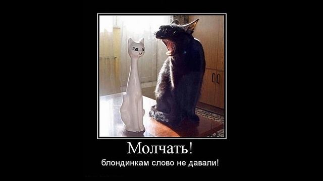 Смешные демотиваторы и прикольные картинки! смотреть онлайн