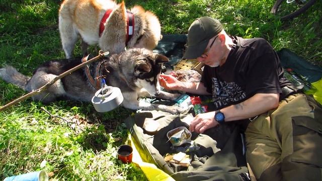 ИРП, ОПРП промежуточный рацион питания обзор хаски помогают тестировать смотреть онлайн