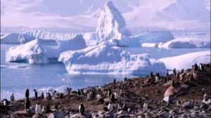 Земля наш общий дом