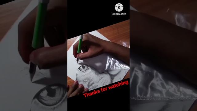 #artwork #pencil cut cat sketch смотреть онлайн