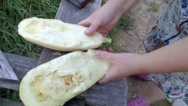 Последние кабачки)))