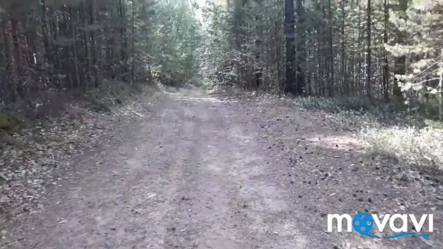 Мы в тайгу! ВЫ с нами? Змеиные норы. Ура, белые грибы! Напугала лягушка. смотреть онлайн