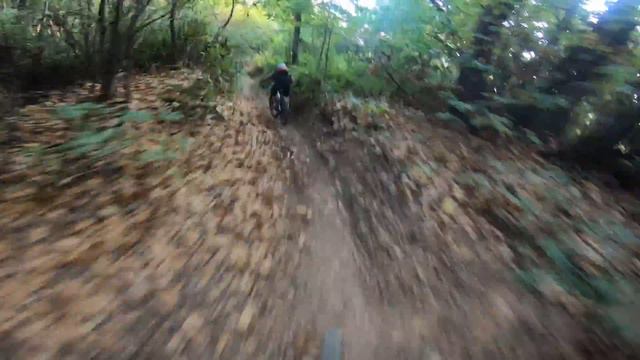 PROVIAMO LA CANYON STOIC 3 SU TRAIL ENDURO! смотреть онлайн
