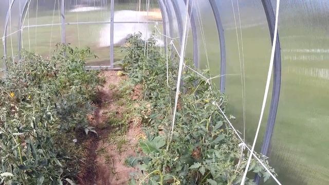 Проект "Индюки 150", ОГОРОД, Стройка, МОТОБЛОК // ДЕРЕВЕНСКИЙ образ жизни смотреть онлайн