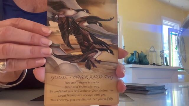 Today’s tarot is from my Spirit of the Animals Oracle deck ?? смотреть онлайн