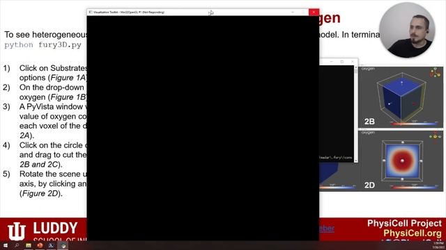 PhysiCell ws2022 Session 9: 3D Visualization with FURY смотреть онлайн