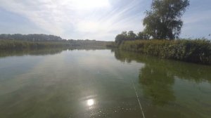 Много щук на воблер OSP  Varuna 110 SP