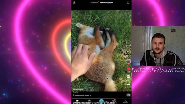 тихо..лиса спит.. смотреть онлайн