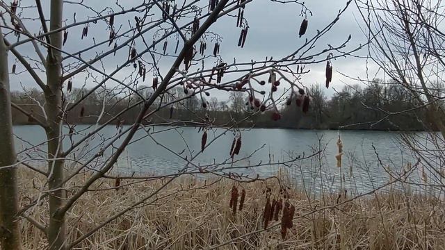 Николаев сегодня Невозможно! Новости Николаева сейчас Вода в Николаеве новости сегодня смотреть онлайн