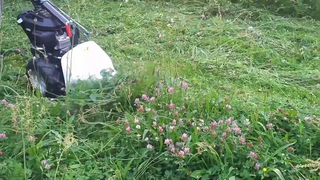 Motofalciatrice Eurosystems P55 motore Honda GCVx 170, barra 87 cm bilama смотреть онлайн