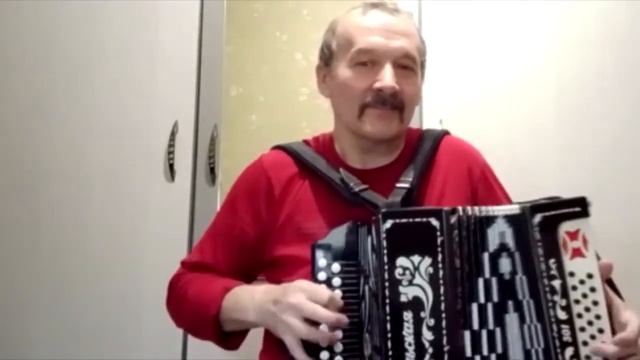 Тум балалайка...на гармони ✌ смотреть онлайн