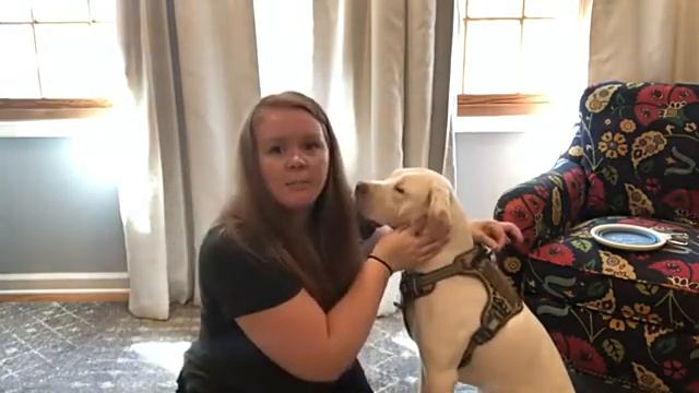 Коммерческий анализ Excel