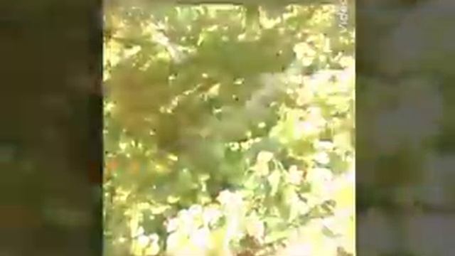 Что делать на даче когда СКУЧНО!? Ищи ответ в видео)? смотреть онлайн