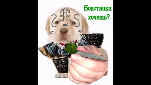 Болотника хочешь? | Готика смотреть онлайн