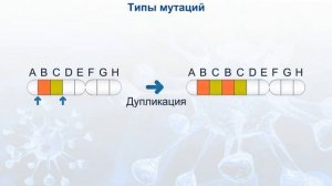 Типы мутаций.  Генные, хромосомные и геномные.  Мутационная изменчивость.