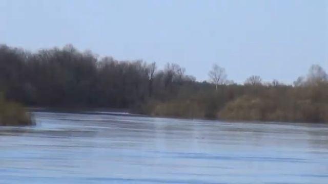разлив Клязьма Цепелево