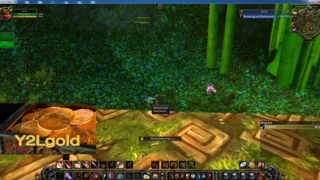 Double Rogue farm ZG(Zul'Gurub) herbs & Mining!WOW Classic part 5 смотреть онлайн