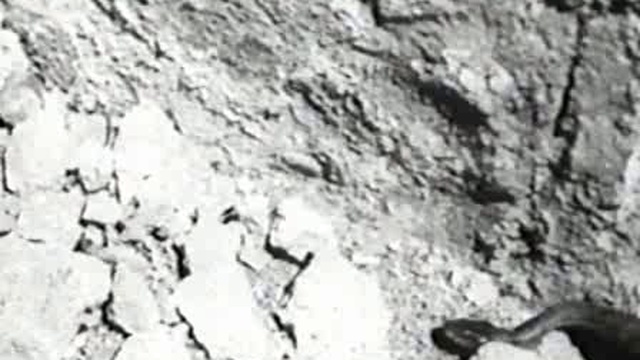 Luis Bunuel - Un-Chien-Andalou (1929)