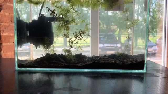 Учим Делать Креативно