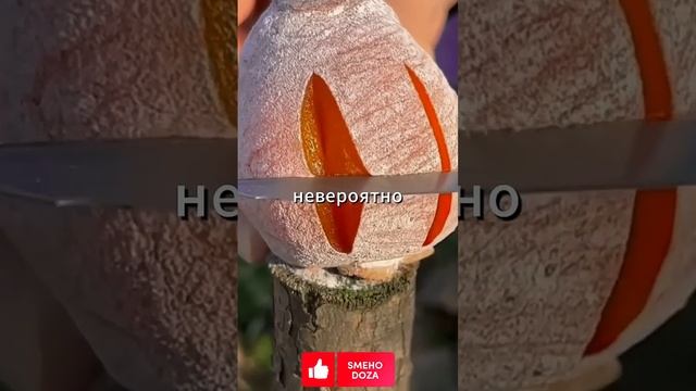 Анекдот. Способ как быстро похудеть смотреть онлайн