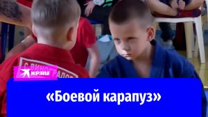 «Боевой карапуз»: как живёт маленький самбист с грозным лицом