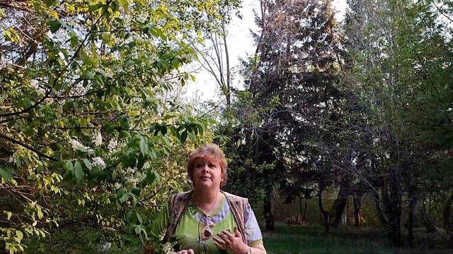 Верни Мне Музыку (Кавер) Поёт Людмила Иволга смотреть онлайн