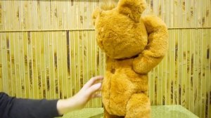 Завели настоящего Медведя?! Он как настоящий! Мишка FurReal! Что он умеет?