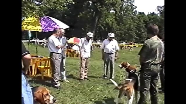 Выставка 2002г смотреть онлайн