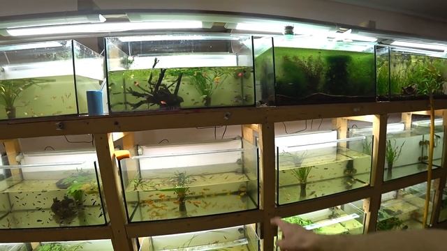 Новая неделя началась с плановой подмены смотреть онлайн