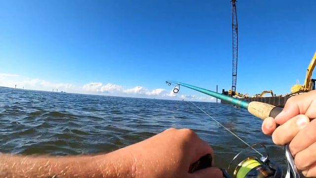 Wading for FLOUNDER! in the BAY Using *SCENTED* Artificial LURES смотреть онлайн