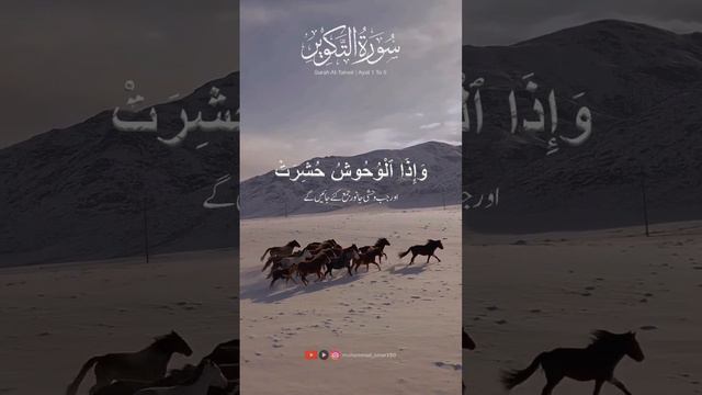 Красивое чтение Корана смотреть онлайн