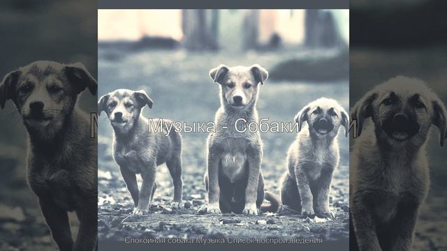 Атмосфера (Расслабляющие собаки) смотреть онлайн