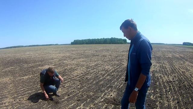 Объезд полей после посевной. Рапс, чечевица, пшеница. смотреть онлайн
