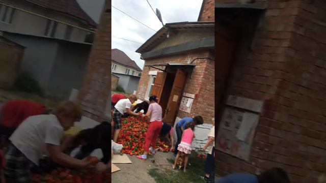 Дика хапатня, потоп перцю. Садгора ЖЕСТЬ смотреть онлайн