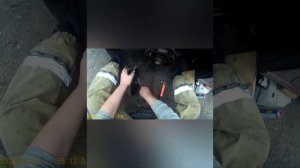 Замена задних тормозных колодок Фольксваген Поло седан