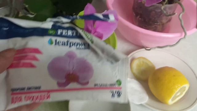 ОРХИДЕЯ ?ЛЮБИТ ЛИМОН ? смотреть онлайн