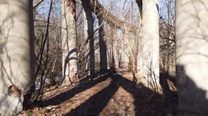 Усадьба Горенки. Балашиха. Подмосковье. [ 4k 60fps ]