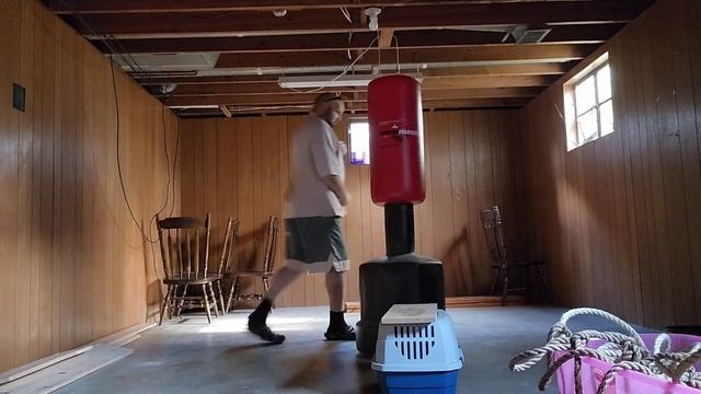 fastest hands of any mma fighter смотреть онлайн