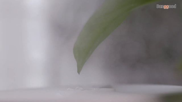 BlitzWolf BW-SH1 2.5L Ultrasonic Humidifier Essential Oil Diffuser - Banggood.com смотреть онлайн