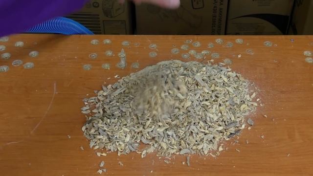 Пылесос Bosch GAS 12-25PL Работает С Обычными Мешками Для Мусора смотреть онлайн