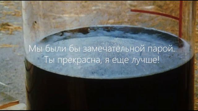 АДРИАНО ЧЕЛЕНТАНО - 20 ЦИТАТ ВЕЛИКОГО СЕРДЦЕЕДА смотреть онлайн