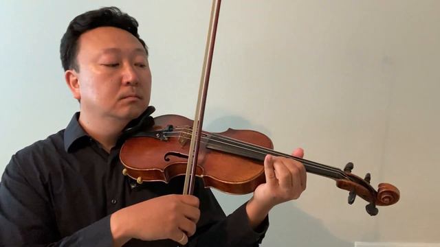 Video Games - Lana Del Rey - William Yun Violin смотреть онлайн