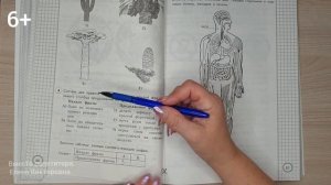 ВПР 2022 по окружающему миру в 4 классе. Разбор заданий 9 варианта.