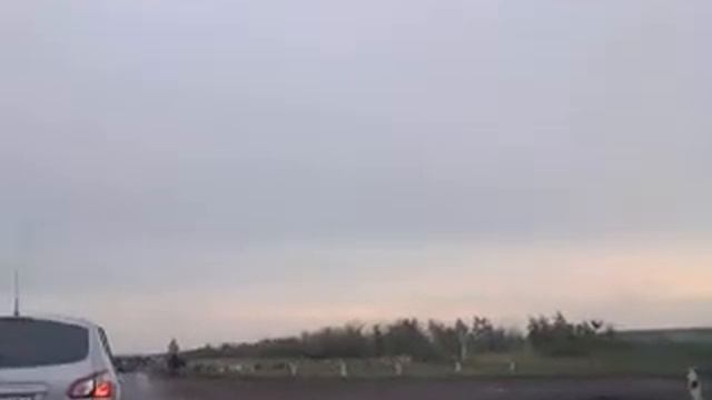Сыртинский табун летом 2011 смотреть онлайн